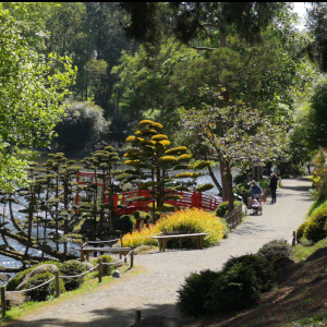 Parc Oriental de Maulévrier