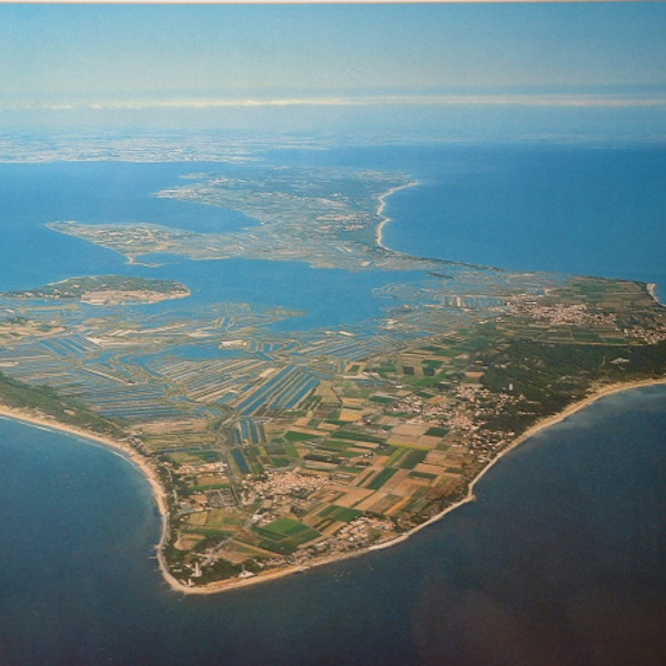 carte-de l’île de Ré