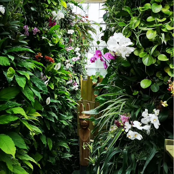 La serre aux orchidées à Terra Botanica